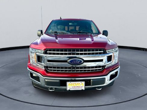 Used 2019 Ford F150 XLT w/ Equipment Group 302A Luxury image 7