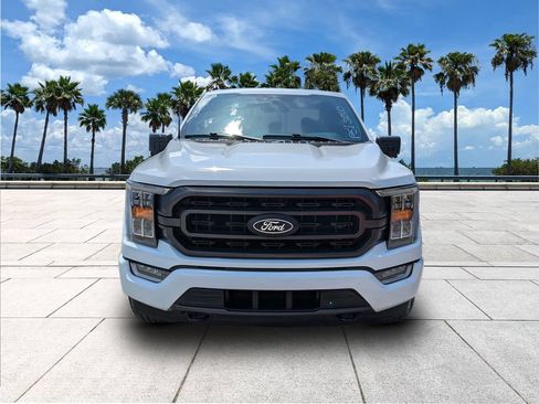 Used 2023 Ford F150 XLT w/ Equipment Group 302A High AWD/4WD image 3