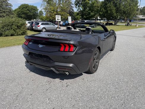 Used 2024 Ford Mustang Premium RWD image 5