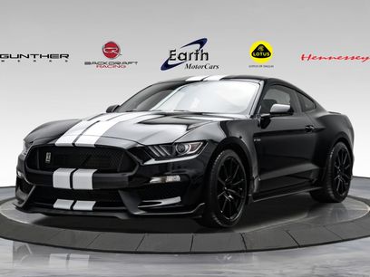 Used 2015 Ford Mustang Shelby GT350