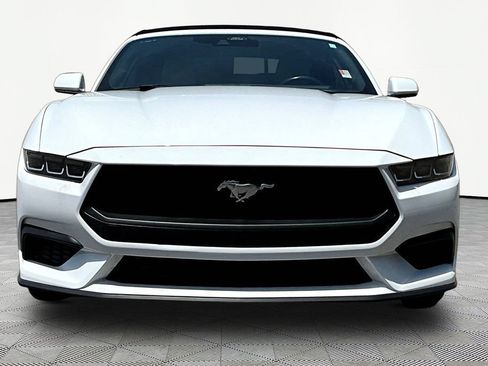 Used 2024 Ford Mustang Premium RWD image 2