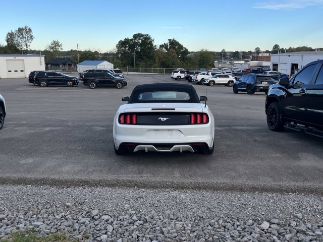 Used 2017 Ford Mustang Premium RWD image 3