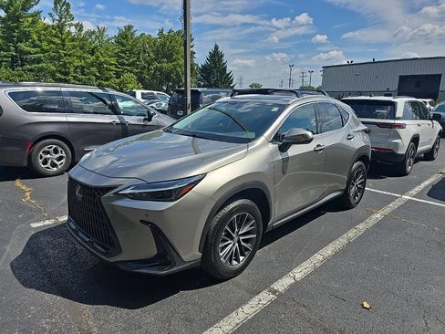 Used 2025 Lexus NX 250 FWD w/ Cold Area Package image 4