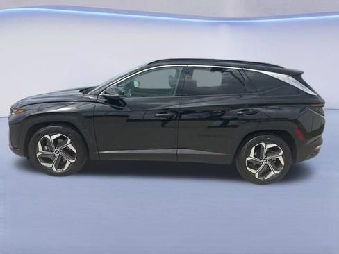 Used 2024 Hyundai Tucson Limited image 5