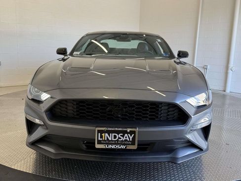 Used 2021 Ford Mustang Premium w/ Equipment Group 201A RWD image 8