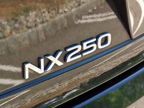 Certified 2024 Lexus NX 250 FWD w/ Cold Area Package image 32