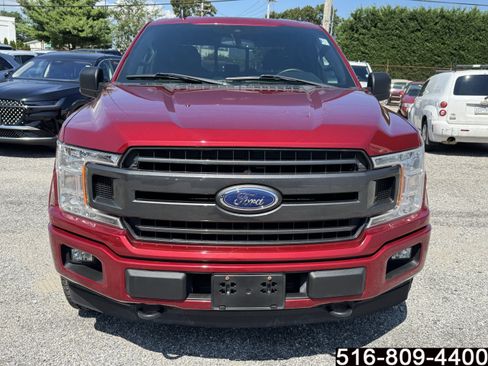 Used 2019 Ford F150 XLT w/ Equipment Group 302A Luxury AWD/4WD image 2
