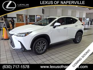 Used 2025 Lexus NX 350 AWD w/ Accessory Package (2T) video 1
