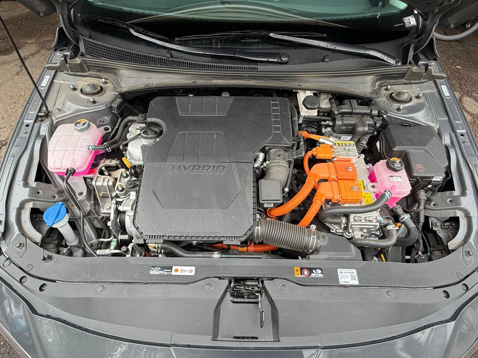 Used 2026 Hyundai Elantra Hybrid FWD image 31