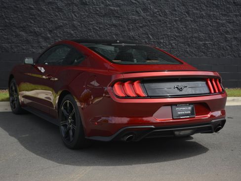 Used 2019 Ford Mustang Premium w/ Ford Safe & Smart Package RWD image 3