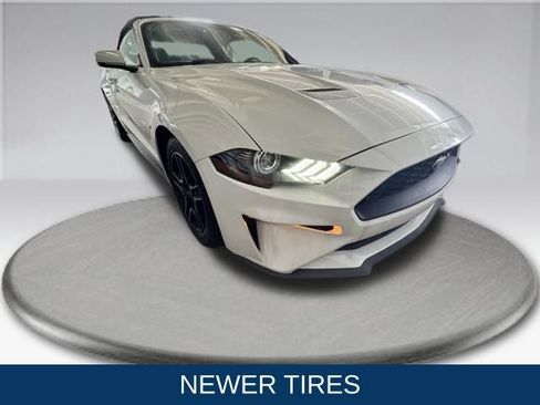 Used 2019 Ford Mustang Premium RWD image 2