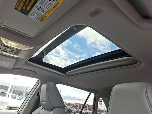 Certified 2025 Toyota RAV4 XLE Premium image 14