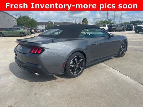 Used 2024 Ford Mustang Premium image 3