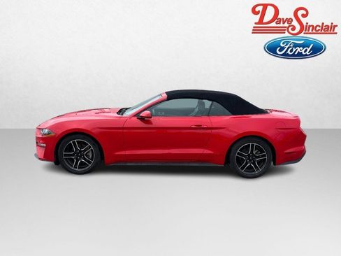 Used 2023 Ford Mustang Premium RWD image 10