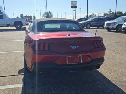 Used 2024 Ford Mustang Premium image 6