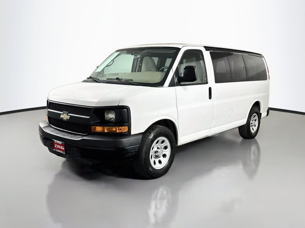 Used 2010 Chevrolet Express 1500 LS RWD image 1