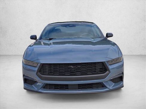 New 2026 Ford Mustang Coupe w/ Mustang Nite Pony Package image 6