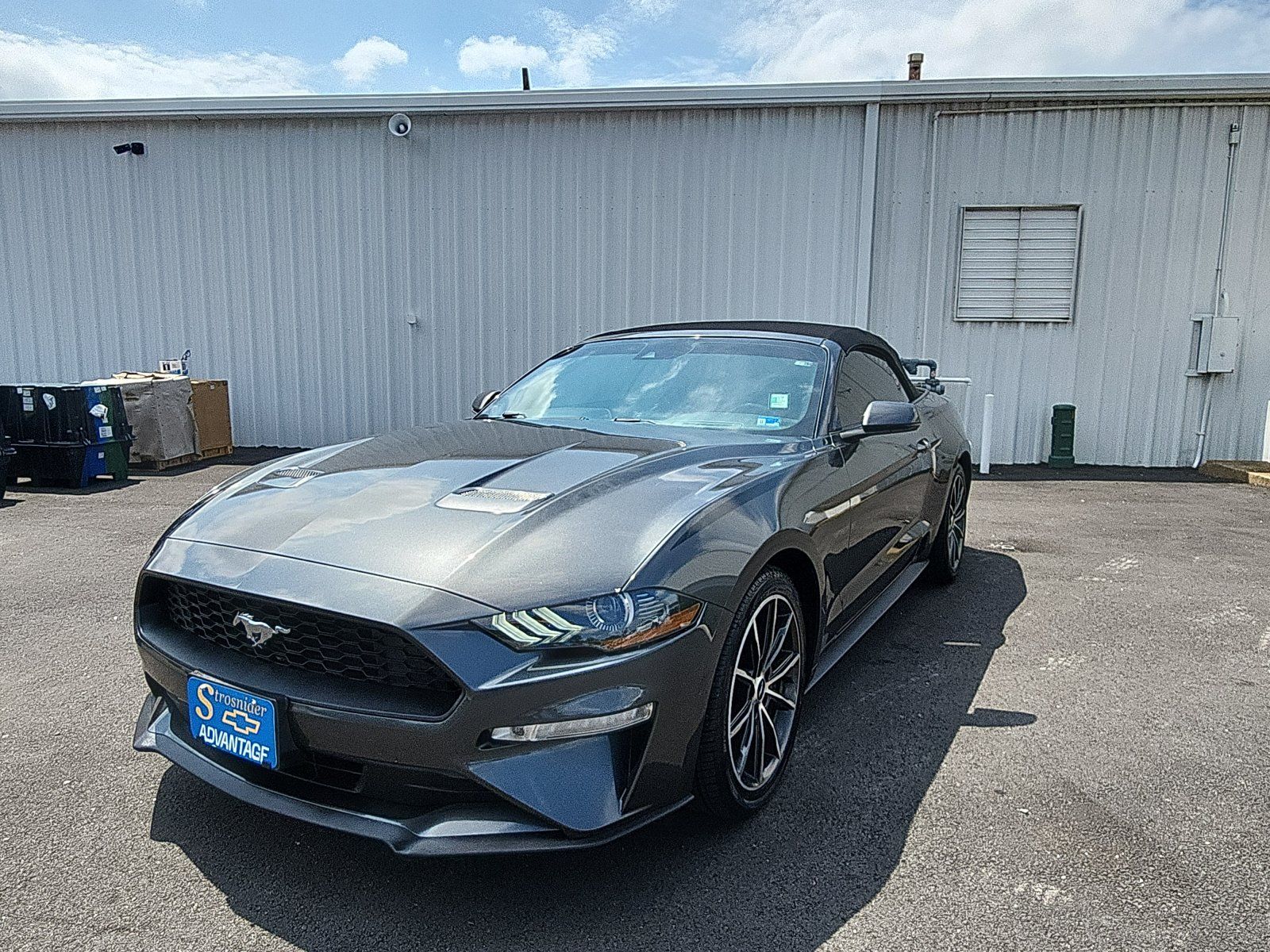 Used 2019 Ford Mustang Premium w/ Equipment Group 201A RWD image 1