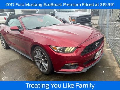 Used 2017 Ford Mustang Premium w/ Equipment Group 201A