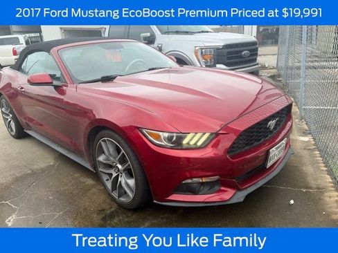 Used 2017 Ford Mustang Premium w/ Equipment Group 201A RWD image 1