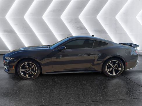 Used 2024 Ford Mustang Coupe image 3