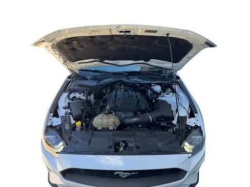 Used 2019 Ford Mustang Premium w/ Equipment Group 201A RWD image 16