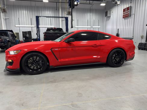 Used 2016 Ford Mustang Shelby GT350 w/ Track Package image 2
