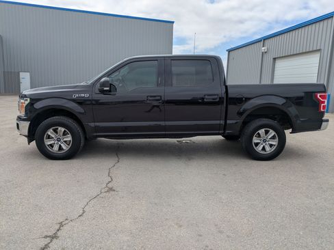 Used 2019 Ford F150 XLT w/ Equipment Group 301A Mid image 6