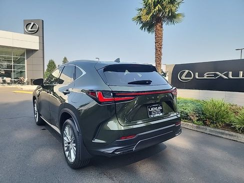 Certified 2023 Lexus NX 350h AWD w/ Cold Area Package image 3