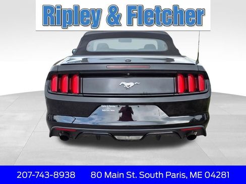 Used 2017 Ford Mustang Premium image 6