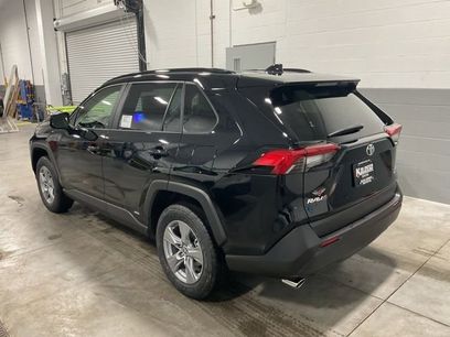 New 2025 Toyota RAV4 XLE
