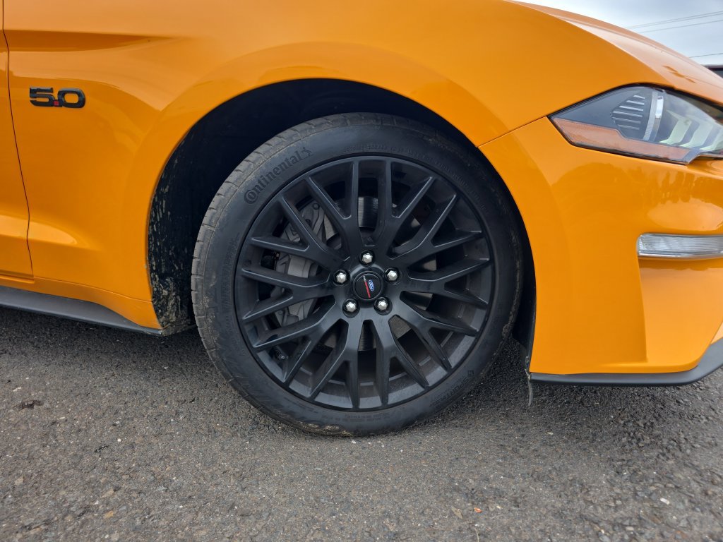 Used 2018 Ford Mustang GT Premium w/ Equipment Group 401A RWD image 11