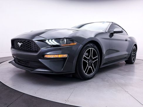 Used 2019 Ford Mustang Coupe w/ Equipment Group 101A RWD image 6