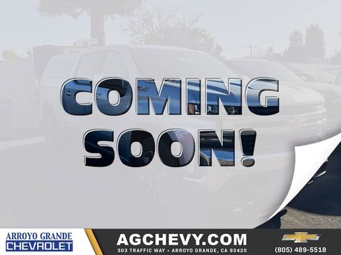 Used 2020 Chevrolet Silverado 1500 LT w/ All-Star Edition image 1
