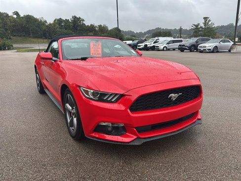 Used 2017 Ford Mustang Convertible w/ Equipment Group 051A image 6