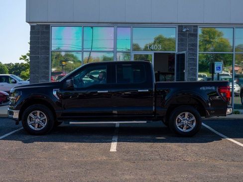 Used 2025 Ford F150 XLT w/ Equipment Group 301A Standard AWD/4WD image 5
