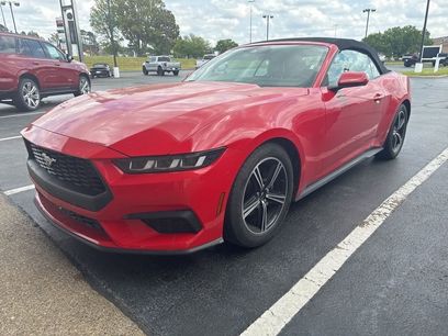 Used 2024 Ford Mustang Premium