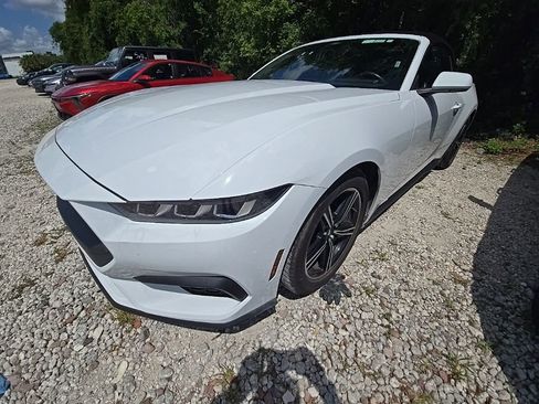 Used 2025 Ford Mustang Premium RWD image 1