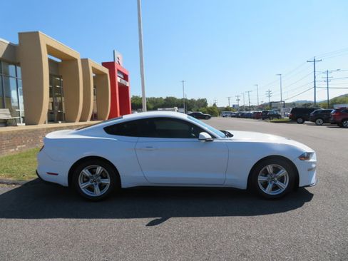 Used 2019 Ford Mustang Coupe image 2