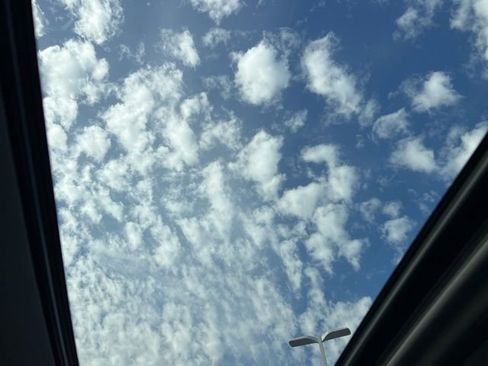 Used 2020 Chevrolet Silverado 1500 LT Trail Boss image 13