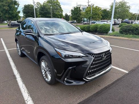 Used 2025 Lexus NX 350 AWD w/ Accessory Package (2T) image 3