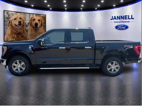 Used 2023 Ford F150 XLT w/ Equipment Group 302A High AWD/4WD image 9