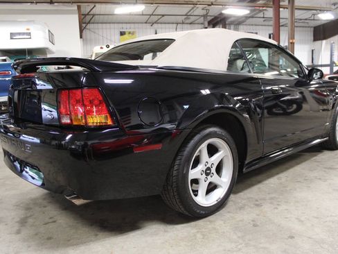 Used 1999 Ford Mustang Cobra RWD image 6