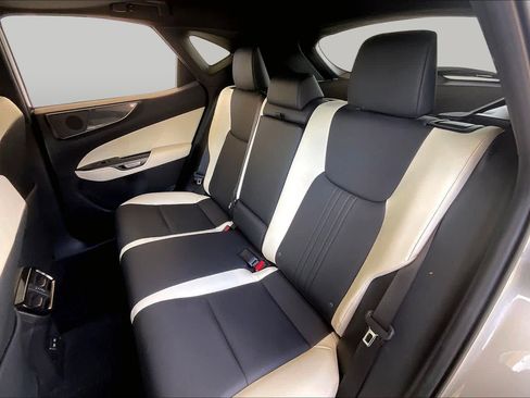 Certified 2024 Lexus NX 250 FWD w/ Cold Area Package image 18