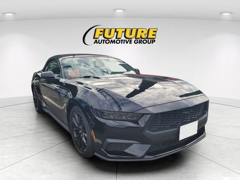 Used 2025 Ford Mustang Convertible w/ Mustang Nite Pony Package RWD image 1