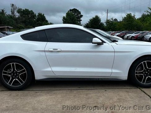 Used 2019 Ford Mustang Coupe w/ Equipment Group 101A RWD image 5
