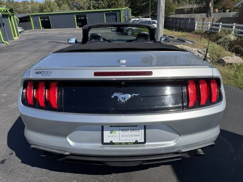 Used 2018 Ford Mustang Premium RWD image 5
