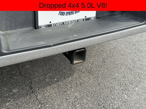 Used 2025 Ford F150 XLT w/ Equipment Group 301A Standard AWD/4WD image 15