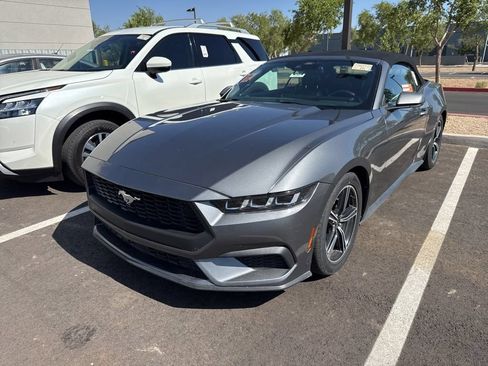 Used 2024 Ford Mustang Premium RWD image 2