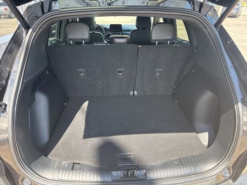 Used 2025 Ford Escape ST-Line Select image 9